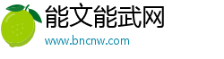 能文能武网